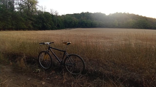 MTB '26 #1513