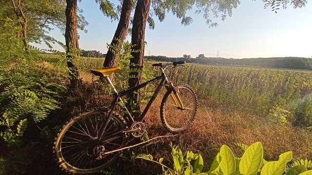 MTB '26 #1519
