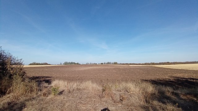 MTB '26 #1523