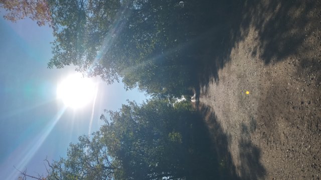MTB '26 #1524