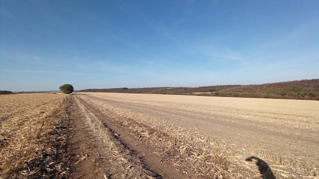 MTB '26 #1525