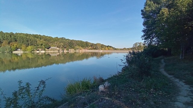 MTB '26 #1528