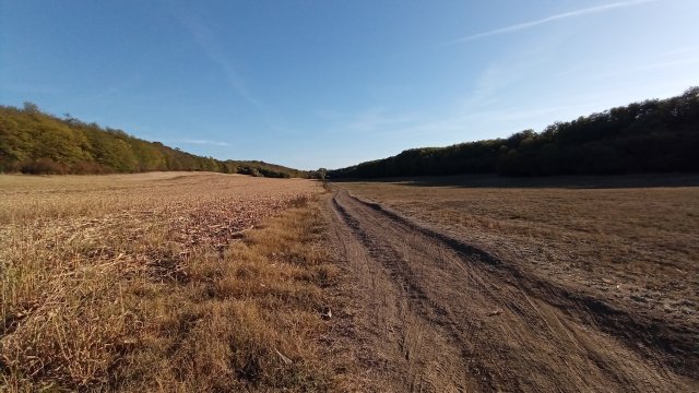 MTB '26 #1534