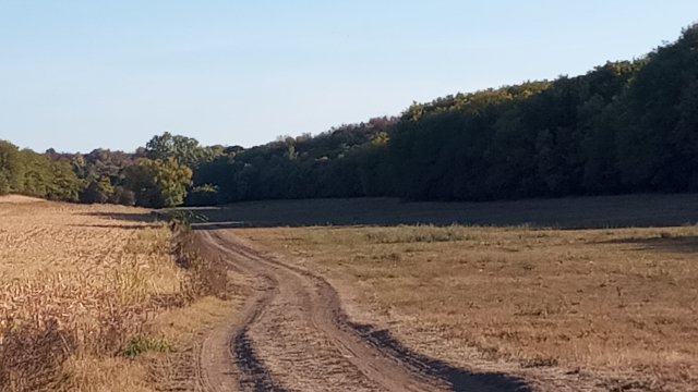 MTB '26 #1535