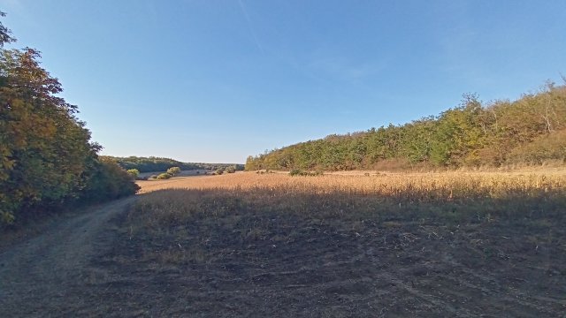 MTB '26 #1536