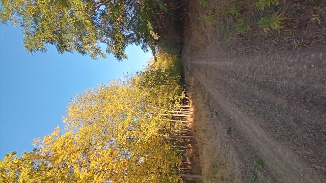 MTB '26 #1540