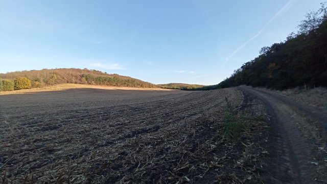 MTB '26 #1541