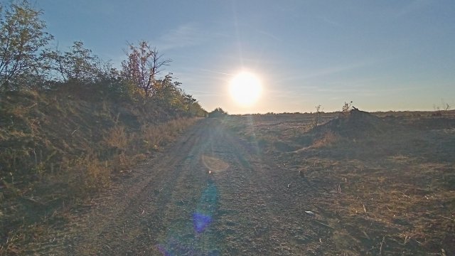 MTB '26 #1542