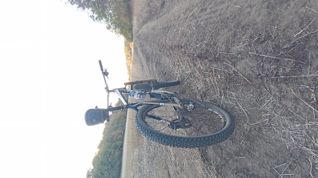 MTB '26 #1543
