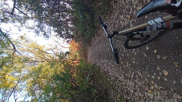 MTB '26 #1546