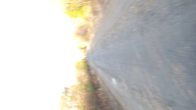 MTB '26 #1550