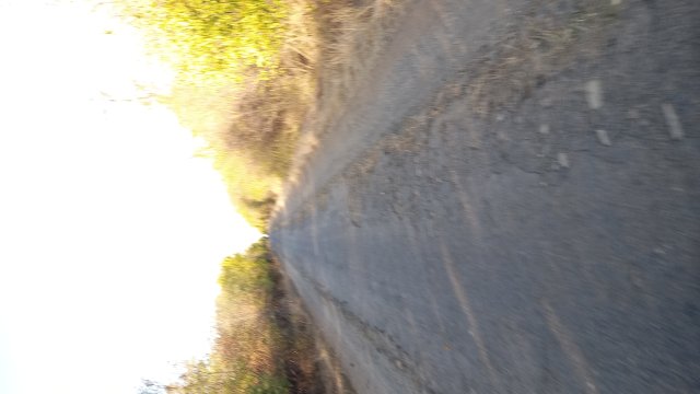 MTB '26 #1551