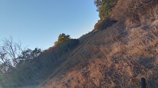 MTB '26 #1555