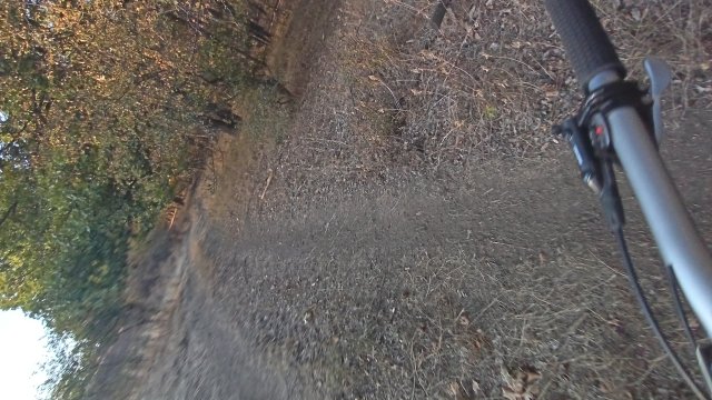 MTB '26 #1557