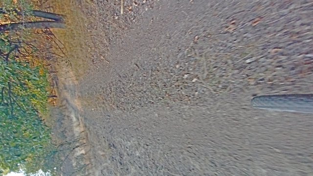 MTB '26 #1558