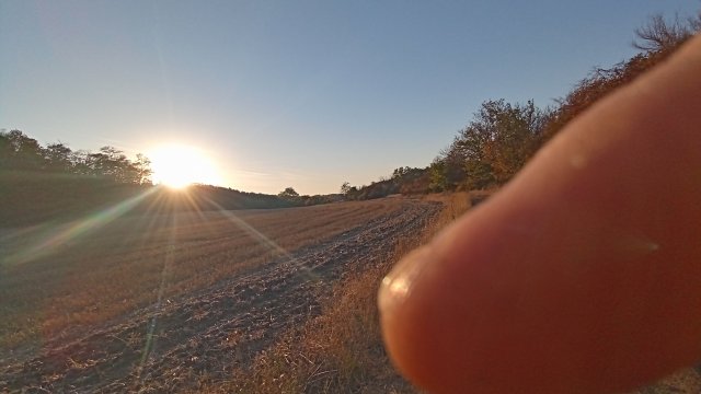 MTB '26 #1568