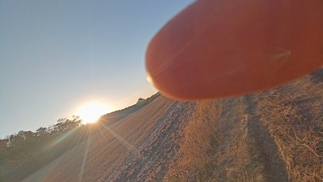 MTB '26 #1569