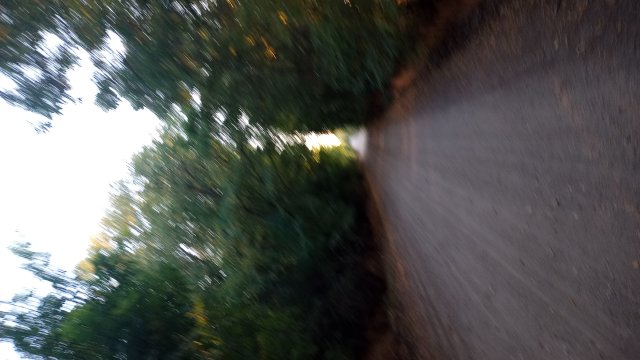 MTB '26 #1572