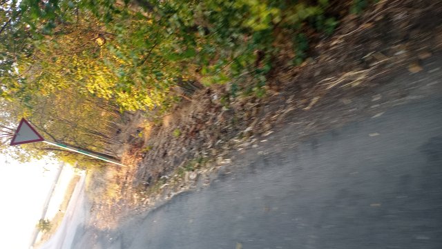 MTB '26 #1575