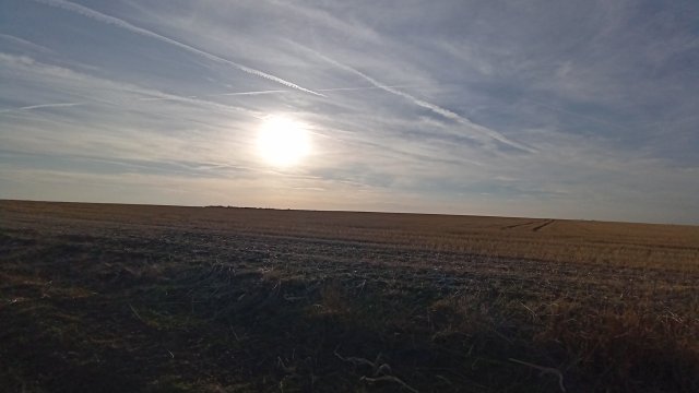 MTB '26 #1583