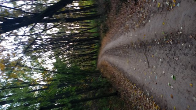 MTB '26 #1585