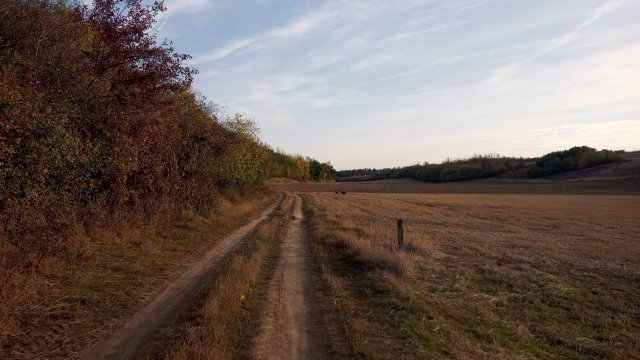 MTB '26 #1587