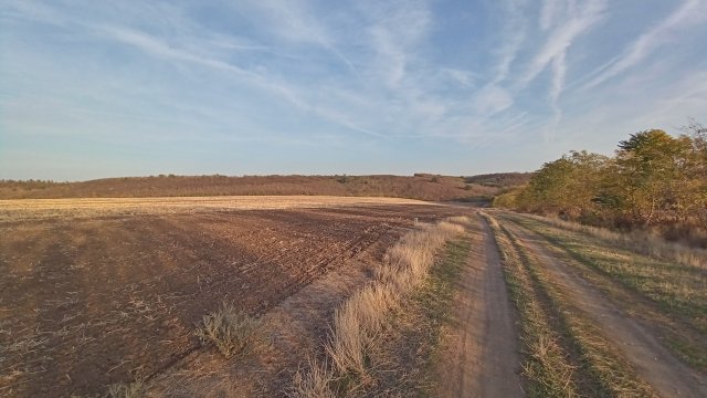 MTB '26 #1589