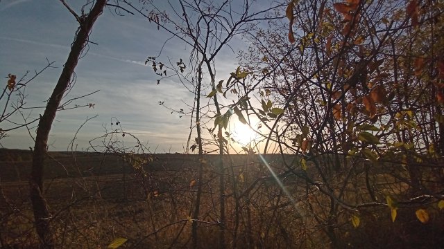 MTB '26 #1590