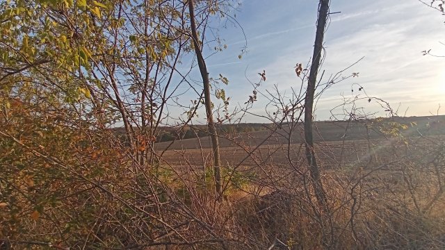 MTB '26 #1591