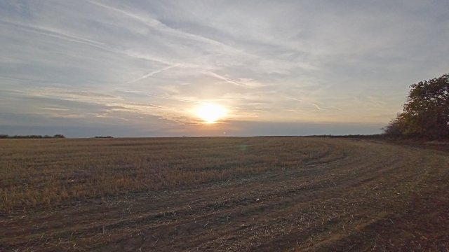MTB '26 #1593