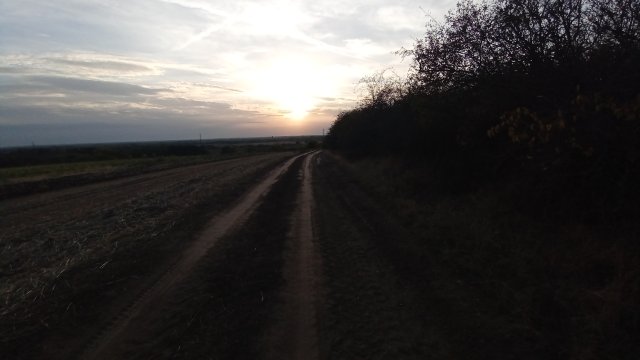 MTB '26 #1594