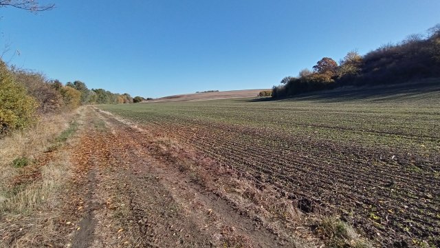 MTB '26 #1597