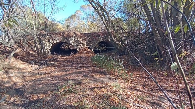MTB '26 #1601