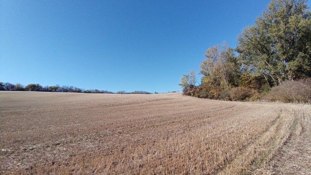 MTB '26 #1605