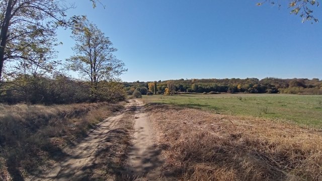 MTB '26 #1606