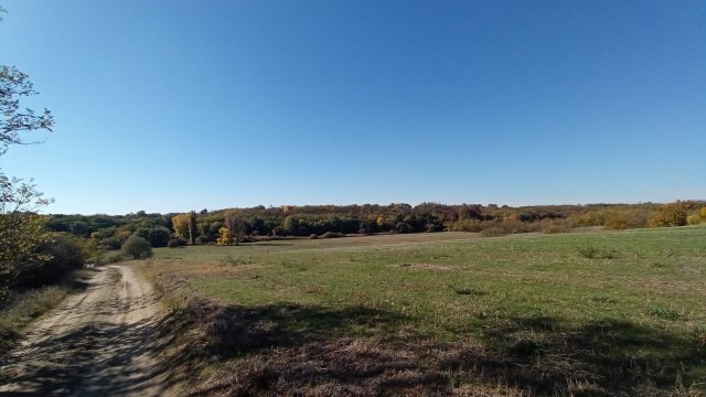 MTB '26 #1607