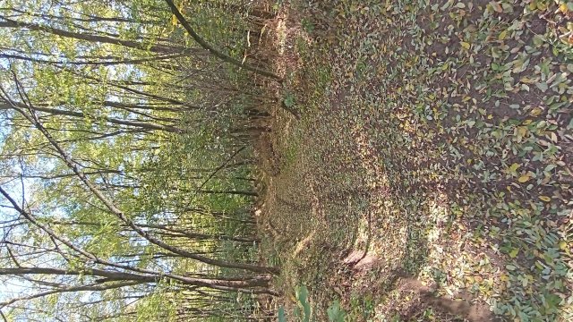 MTB '26 #1609
