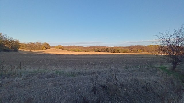 MTB '26 #1613