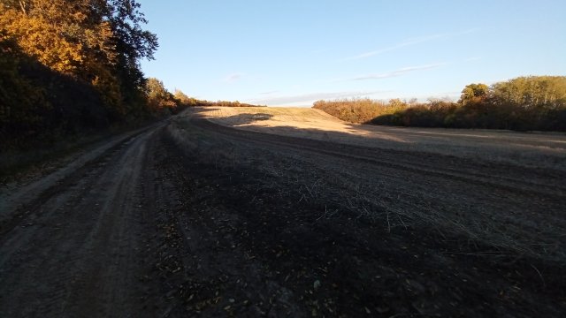 MTB '26 #1615
