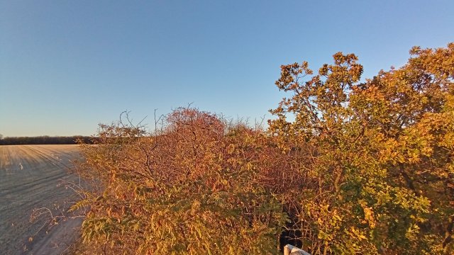 MTB '26 #1625