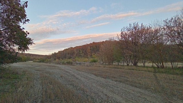MTB '26 #1627