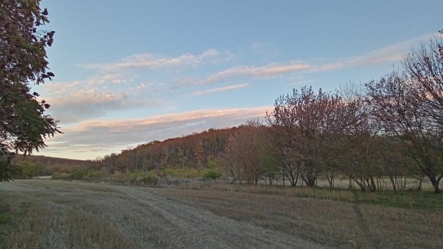 MTB '26 #1628