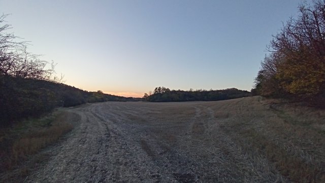 MTB '26 #1629