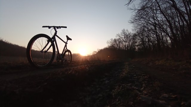MTB '26 #524