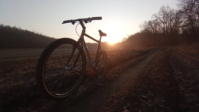 MTB '26 #526