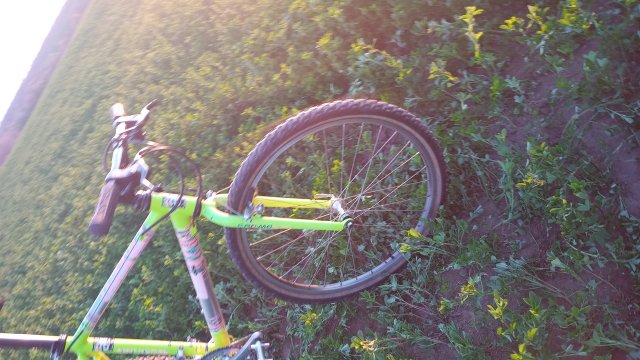 MTB '26 #690