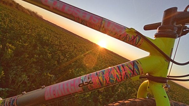 MTB '26 #694