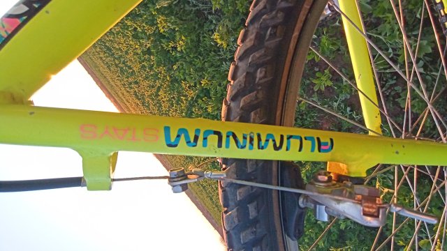 MTB '26 #696