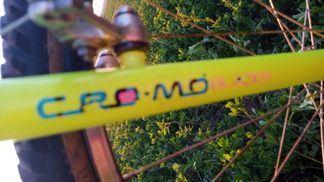 MTB '26 #701