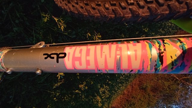 MTB '26 #706